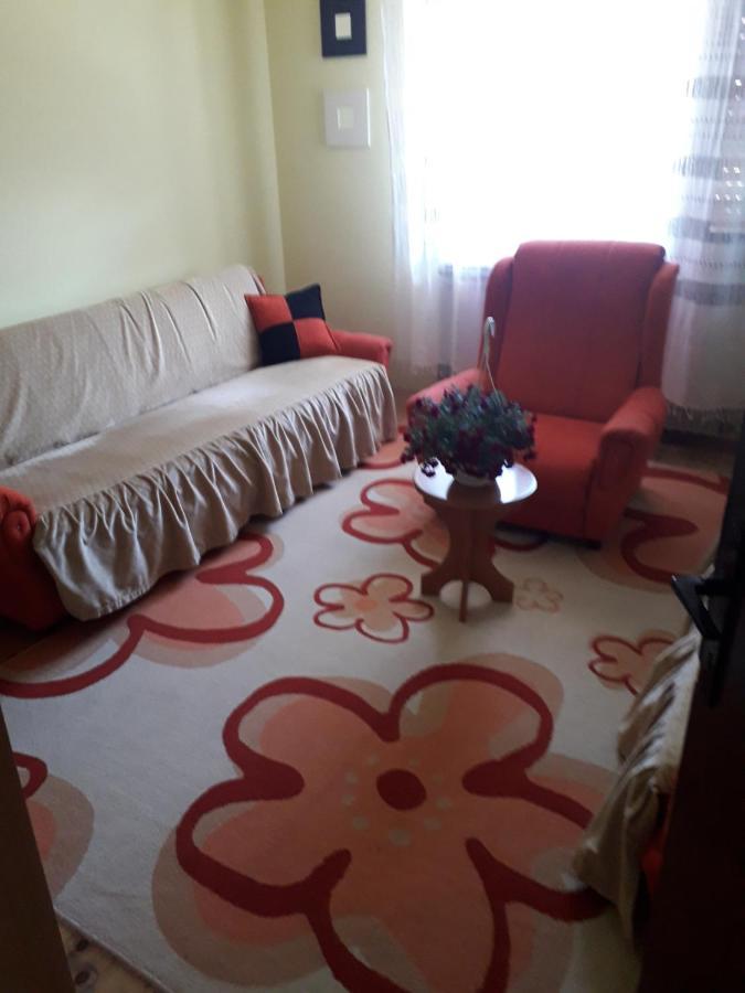 Rakic Apartman Bajina Basta Esterno foto